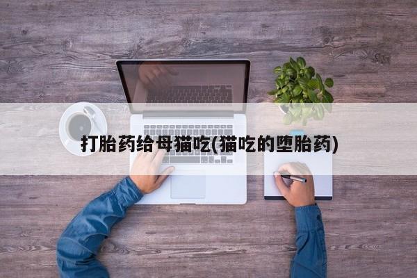 米非米索使用打胎药给母猫吃(猫吃的堕胎药)
