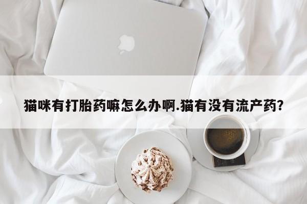 米非米索使用猫咪有打胎药嘛怎么办啊.猫有没有流产药？