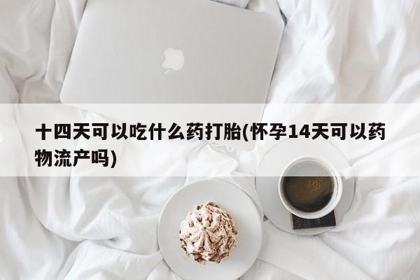 米非米索使用十四天可以吃什么药打胎(怀孕14天可以药物流产吗)